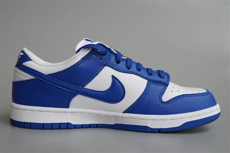 nike dunk loe herren|nike dunks low top men.